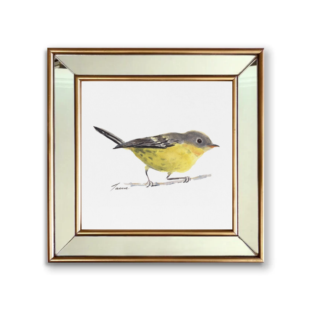 Cuadro Marco Espejado, Aves 4