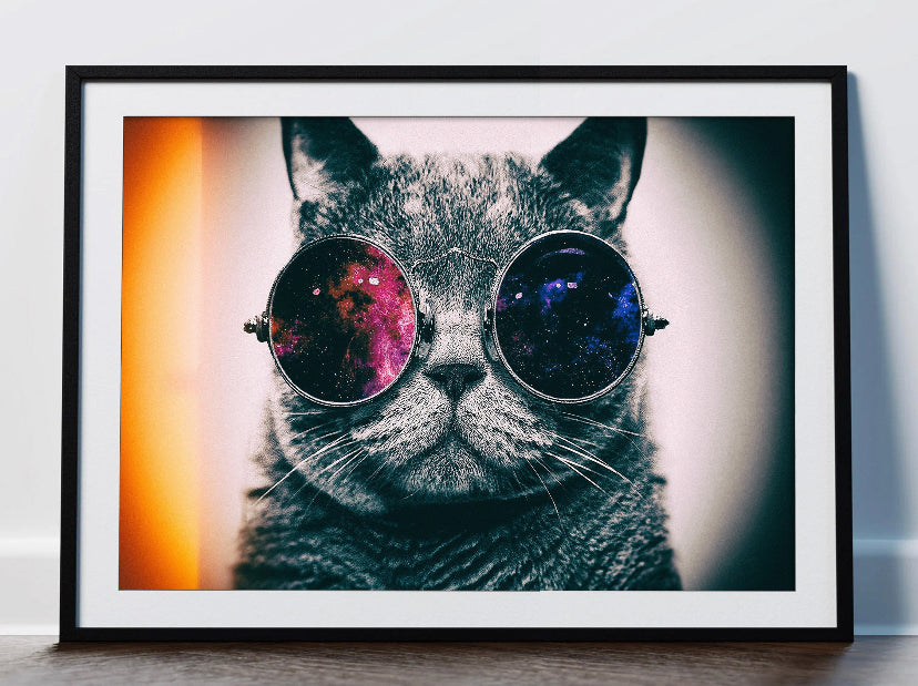 Cuadro de animales , gato con lentes
