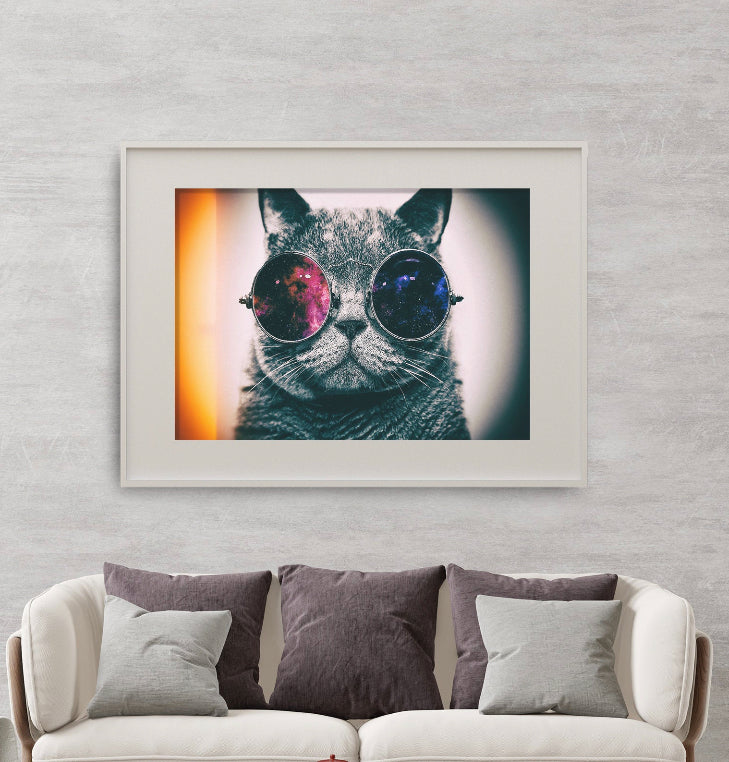 Cuadro de animales , gato con lentes