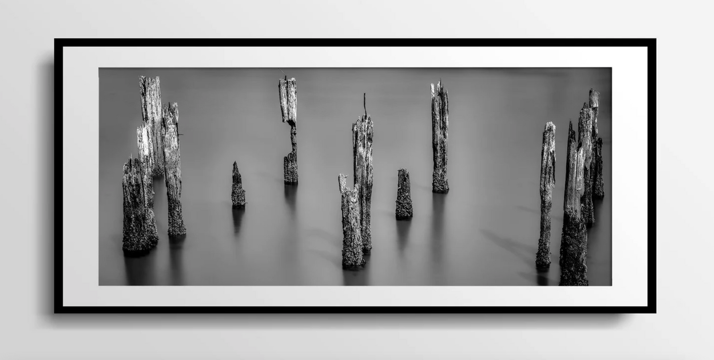 Cuadro Fotografia , pilares muelle antiguo blanco y negro