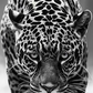 Cuadro de Animales , Leopardo