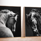Set 2 Cuadros de Animales, Caballos