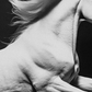 Cuadro de Animal, Caballo