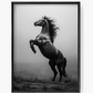 Cuadro de Animales, Caballo semental