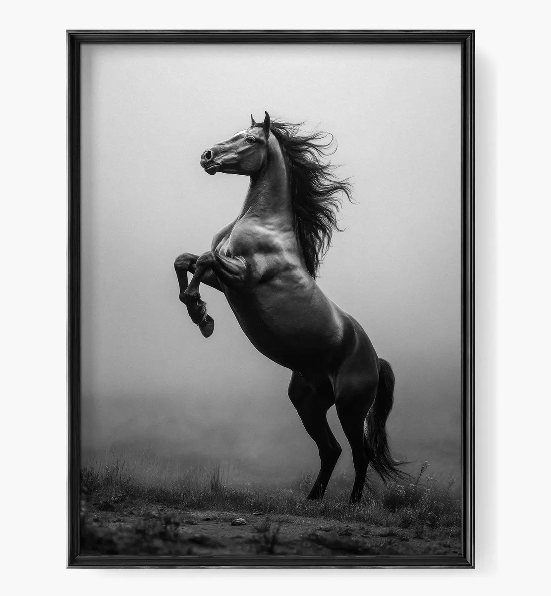 Cuadro de Animales, Caballo semental