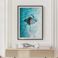 Cuadro de Animales y oceano , Mantarraya