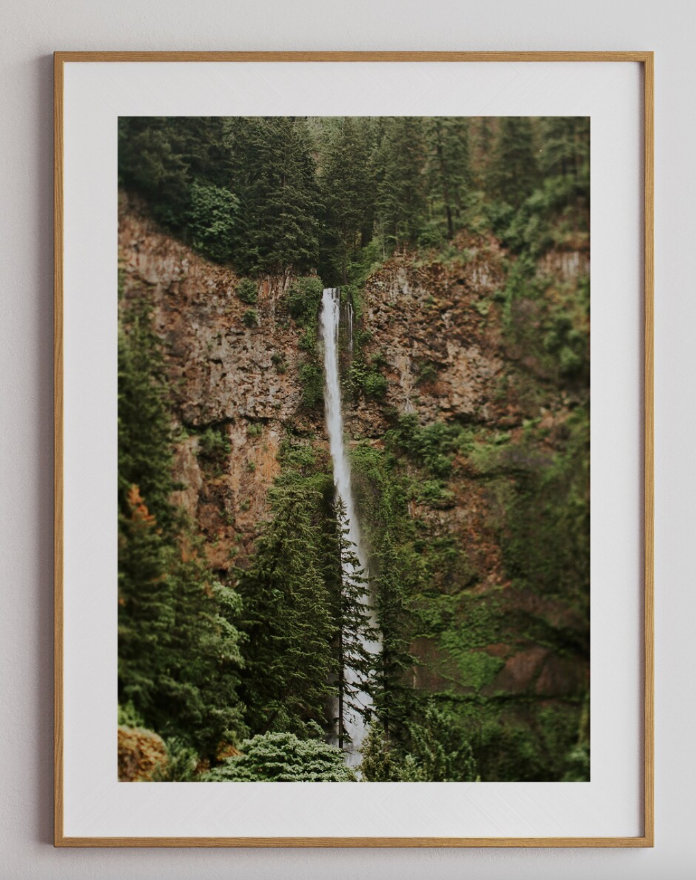 Set 3 Cuadros Botanicos y Naturaleza , Arboles y Cascada