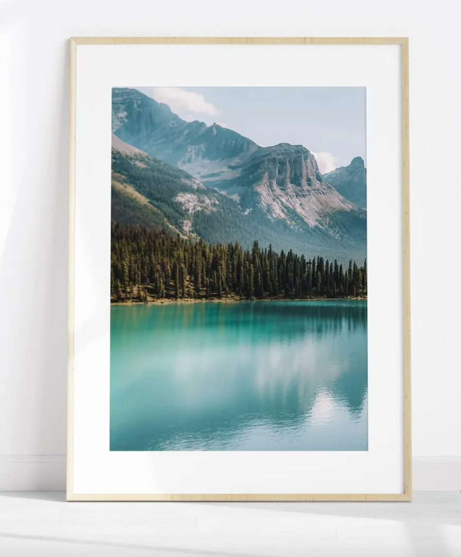 Set 3 Cuadros Botanicos y Naturaleza , Arboles y lago