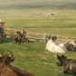 Cuadro Campestre Canvas , campo