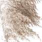 Cuadro botanico , tonos neutros