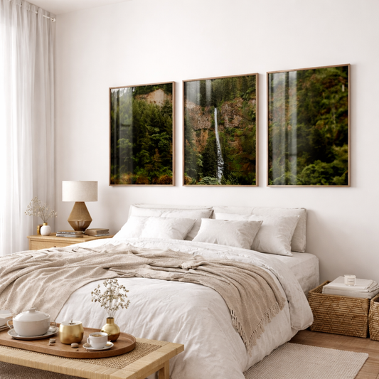 Set 3 Cuadros Botanicos y Naturaleza , Arboles y Cascada