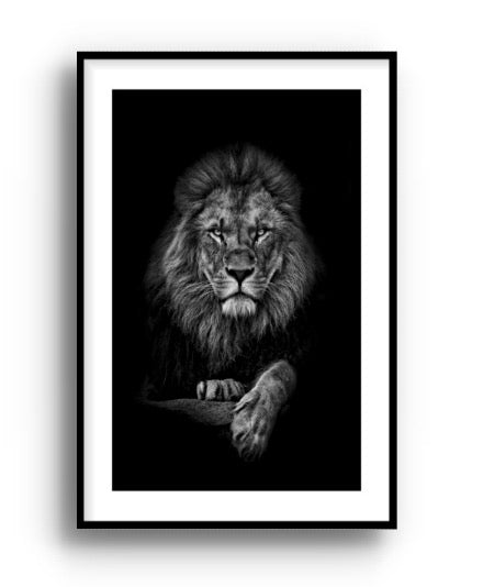 Cuadro de animales, leon