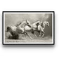 Cuadro de animales, Caballos