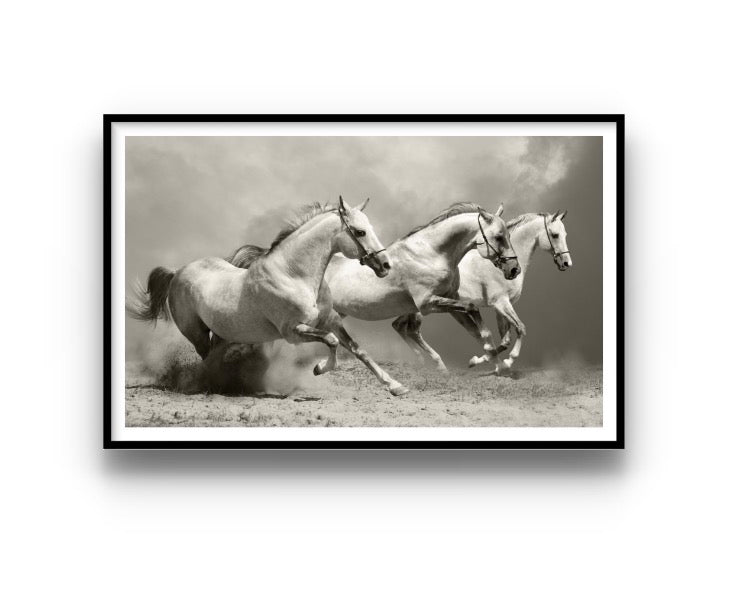 Cuadro de animales, Caballos