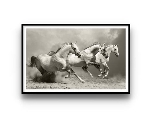 Cuadro de animales, Caballos