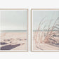 Set 2 Cuadros botanico pampas