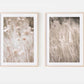Set 2 Cuadros botanico pampas