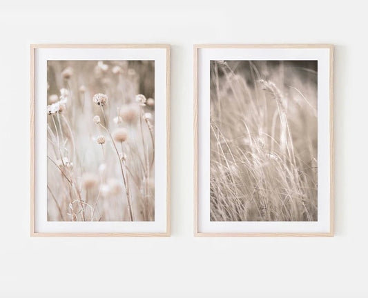 Set 2 Cuadros botanico pampas