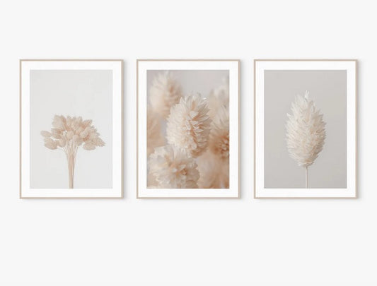 Set 3 botanicos pampas secas