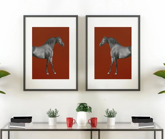 Set 2 Cuadros animales, caballos