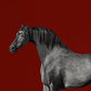 Set 2 Cuadros animales, caballos