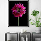 Cuadro Botanico flor dhalia