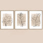 Set 3 Cuadros botanicos neutros