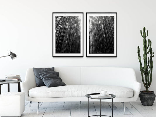 Set 2 Cuadros bosque