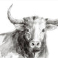 Cuadro animal toro