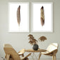 Set 2 Cuadros plumas