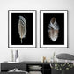 Set 2 Cuadros plumas