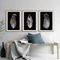 Set 3 Cuadros plumas
