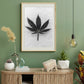 Cuadro Botanico hoja de cannabis