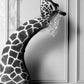 Cuadro de animales en baño , jirafa