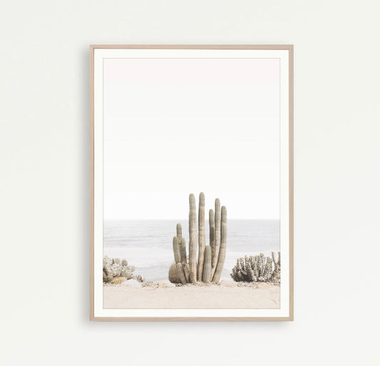 Cuadro de playa y surf, botanico cactus neutros