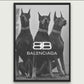 Cuadro fashion Balenciaga